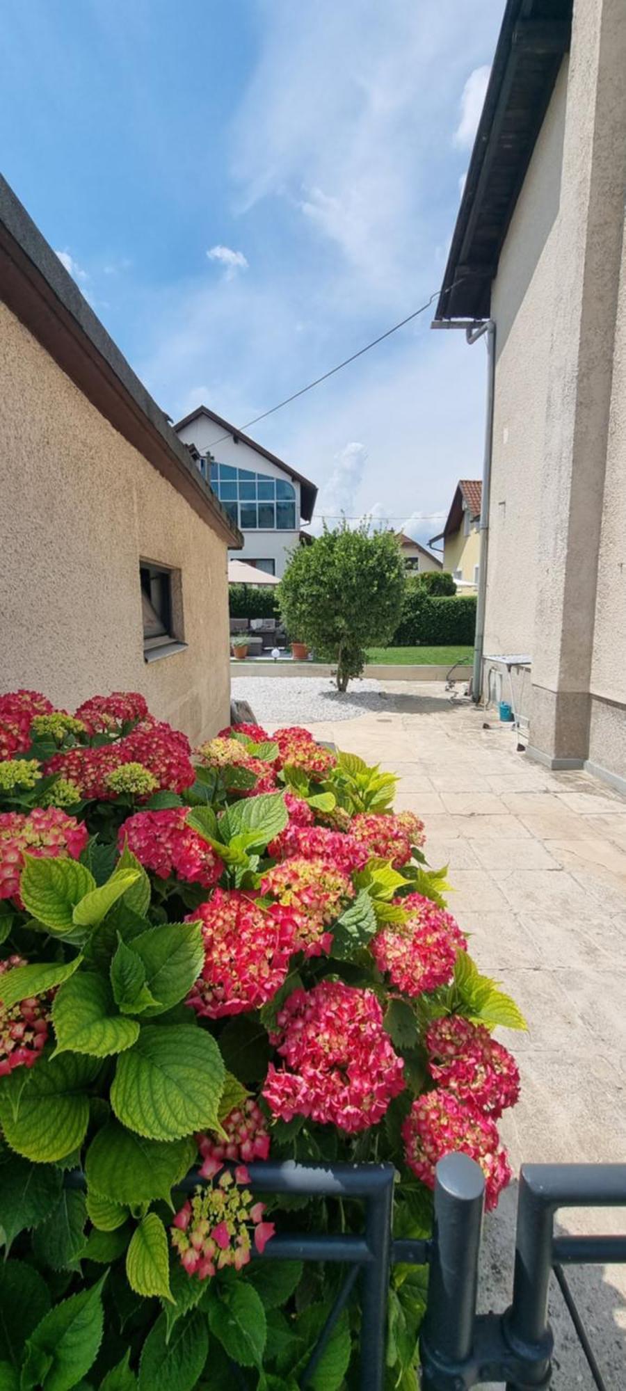 Willa Privat House Lena With Garden&Free Parking Lublana Zewnętrze zdjęcie